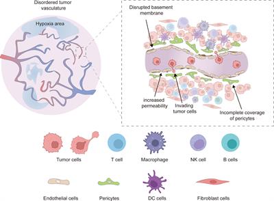 Recent advances of nanomaterial-based anti-angiogenic therapy in tumor vascular normalization and immunotherapy